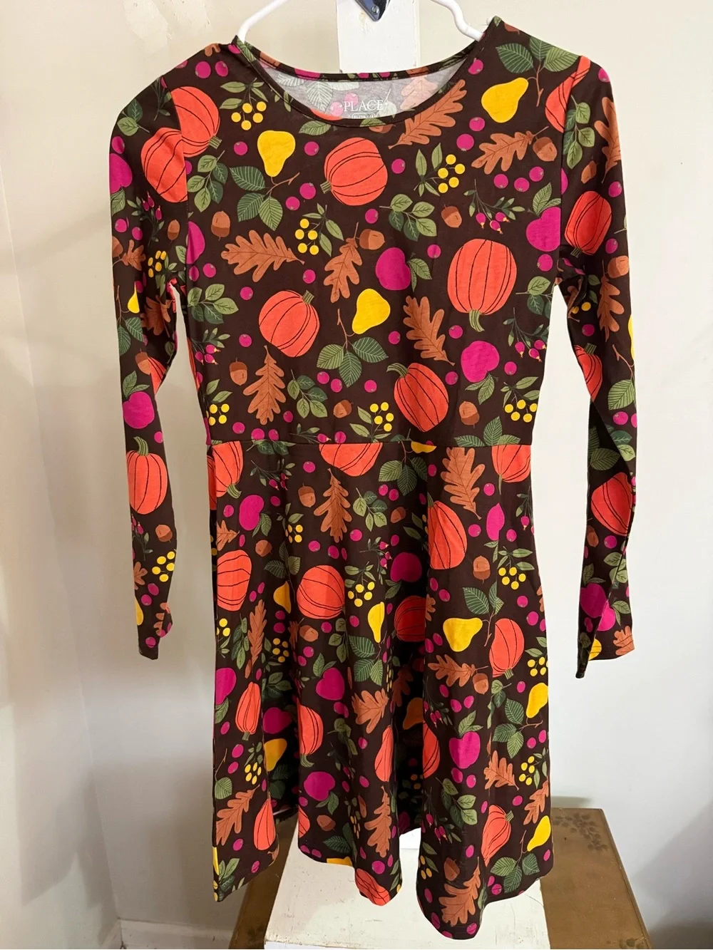 NWT Children’s Place Fall Dress